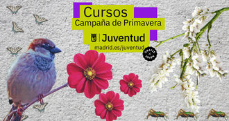 el-ayuntamiento-ofrece-mas-de-930-plazas-en-cursos-gratuitos-de-capacitacion-curricular-para-jovenes