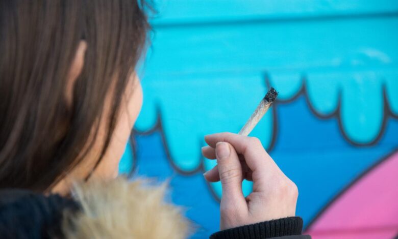 la-comunidad-de-madrid-constata-que-el-cannabis-es-la-sustancia-ilegal-de-mayor-consumo-en-la-region-con-un-ligero-incremento-en-2024