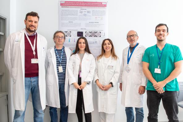 cientificos-del-hospital-nacional-de-paraplejicos-profundizan-en-los-mecanismos-que-producen-lesiones-por-presion-a-las-personas-con-lesion-medular