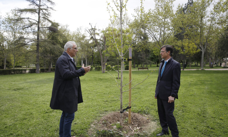 el-ayuntamiento-refuerza-el-arbolado-en-carabanchel-con-la-plantacion-de-mas-de-600-ejemplares