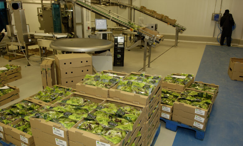 el-boletin-del-pais-vasco-publica-la-convocatoria-de-ayudas-a-regimenes-de-calidad-de-productos-agricolas-y-alimenticios,-dotadas-con-880.250-euros