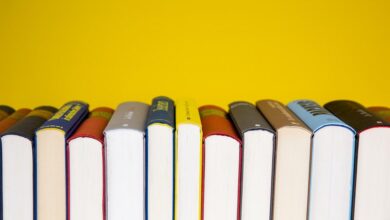la-comunidad-de-madrid-selecciona-los-220-titulos-mas-destacados-de-la-literatura-infantil-y-juvenil-de-2024-para-acercarlos-a-los-lectores