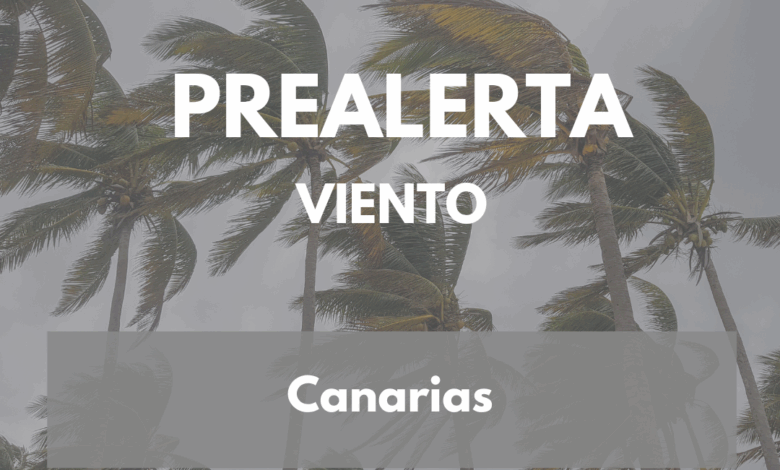 el-gobierno-declara-la-situacion-de-prealerta-por-viento-en-las-islas