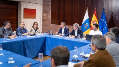 las-organizaciones-profesionales-agrarias-manifiestan-al-gobierno-de-canarias-su-respaldo-al-proyecto-del-platano