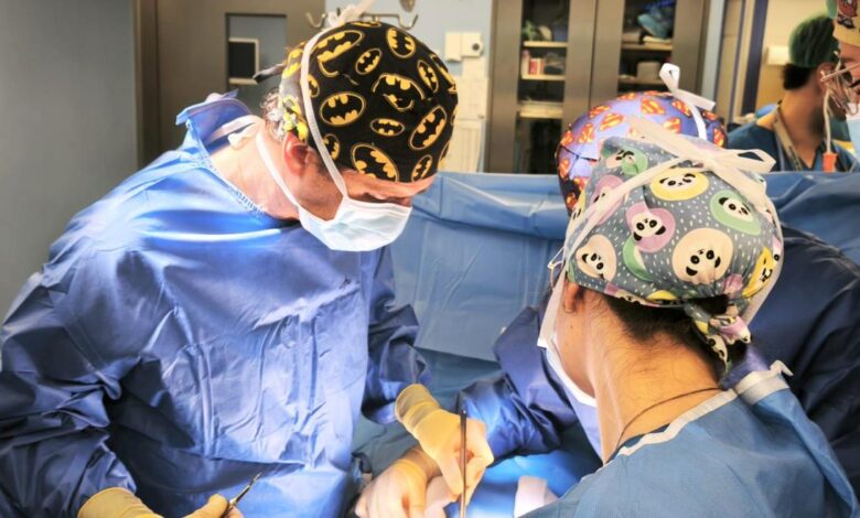 el-hospital-publico-principe-de-asturias-acoge-el-curso-precongreso-de-la-reunion-nacional-de-cirugia-de-pared-abdominal