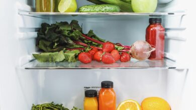 consumo-publica-recomendaciones-sobre-los-alimentos-conservados-en-el-frigorifico-y-el-congelador-tras-el-apagon-electrico