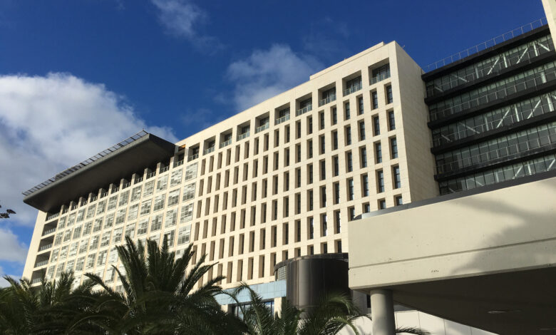 el-hospital-universitario-insular-de-gran-canaria-realizo-80-trasplantes-renales-durante-2024