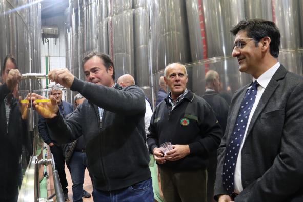 el-gobierno-de-castilla-la-mancha-destaca-la-fortaleza-del-sector-del-aceite-que-esta-alcanzando-cifras-de-produccion-historicas