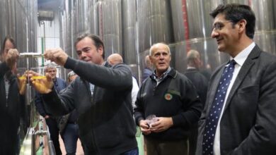 el-gobierno-de-castilla-la-mancha-destaca-la-fortaleza-del-sector-del-aceite-que-esta-alcanzando-cifras-de-produccion-historicas