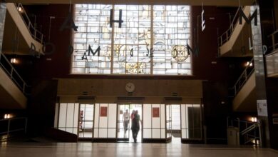 la-comunidad-de-madrid-aprueba-una-ayuda-directa-a-la-universidad-complutense-para-la-gestion-del-distrito-unico