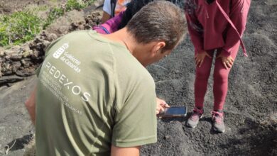 canarias-lanza-su-maraton-de-localizacion-de-especies-invasoras-mas-amplio-e-internacional