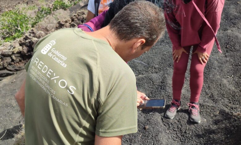 canarias-lanza-su-maraton-de-localizacion-de-especies-invasoras-mas-amplio-e-internacional