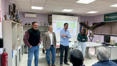 el-centro-de-investigacion-agroforestal-albaladejito-inicia-la-formacion-para-los-agricultores-interesados-en-solicitar-la-ayuda-al-girasol-agroambiental