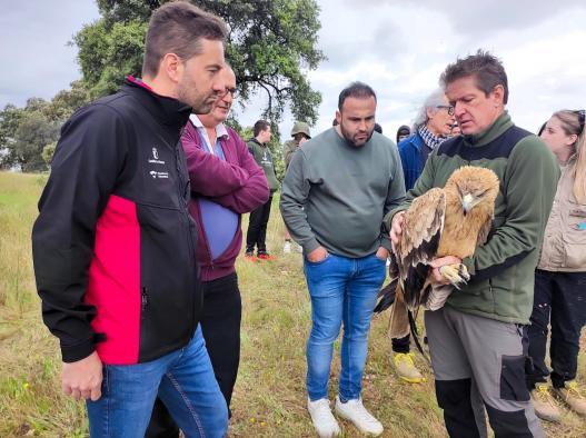 el-gobierno-regional-recupera-y-devuelve-a-su-habitat-natural-otra-aguila-imperial-en-la-provincia-de-toledo