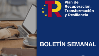 ​​boletin-del-plan-de-recuperacion-(19-de-abril-02-de-mayo-de-2025)