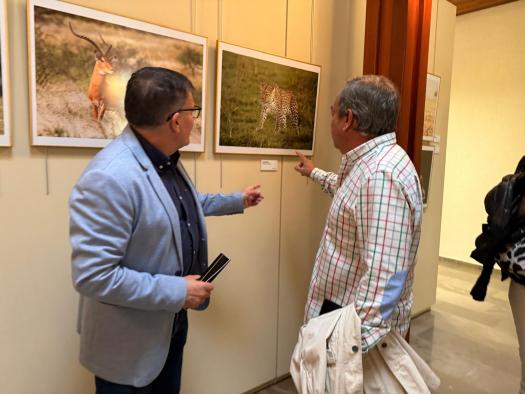 ‘animalibus’-llega-al-museo-de-albacete-con-la-intencion-de-mostrar-la-fauna-que-aparece-en-piezas-de-epocas-pasadas