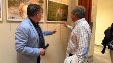 ‘animalibus’-llega-al-museo-de-albacete-con-la-intencion-de-mostrar-la-fauna-que-aparece-en-piezas-de-epocas-pasadas