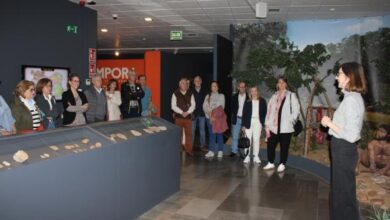 el-gobierno-de-castilla-la-mancha-celebra-el-dia-internacional-de-los-museos-con-visitas-centradas-en-la-inclusion-y-la-perspectiva-de-genero
