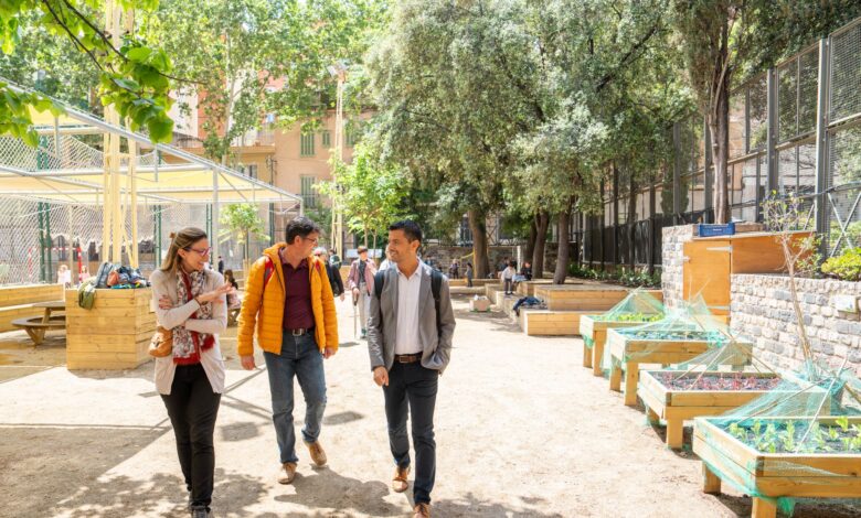 educacion-conoce-en-barcelona-soluciones-para-adaptar-los-centros-al-cambio-climatico-a-traves-de-los-patios