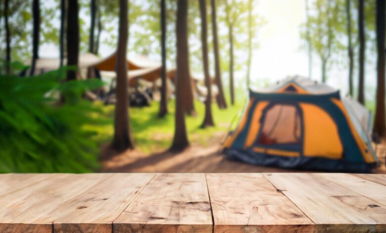 la-comunidad-de-madrid-aprueba-el-decreto-que-actualiza-la-normativa-para-campamentos-turisticos-y-autocaravanas