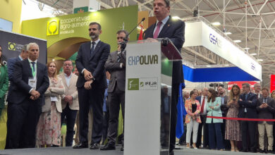 planas-senala-como-objetivo-comercializar-4-millones-de-toneladas-de-aceite-de-oliva-antes-de-2040