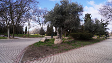 el-parque-de-las-cruces,-ubicado-entre-los-distritos-de-carabanchel-y-latina,-sera-objeto-de-una-tercera-fase-de-rehabilitacion