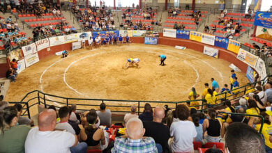 la-lucha-canaria-toma-el-mando-de-los-campeonatos-de-canarias-en-edad-escolar-este-fin-de-semana