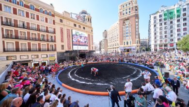la-lucha-canaria-conquista-madrid-en-una-jornada-para-la-historia