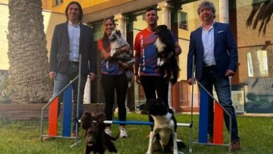 gotor-acoge-el-campeonato-de-espana-de-agility-de-la-real-sociedad-canina-del-23-al-25-de-mayo