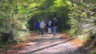 la-comunidad-de-madrid-estrena-el-carpetania-walking-festival-con-10-rutas-guiadas-para-practicar-senderismo-en-la-sierra-norte