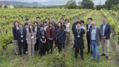 las-bodegas-de-rioja-alavesa-presentan-sus-vinos-a-una-delegacion-japonesa-que-visita-euskadi