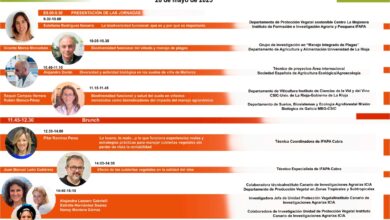 el-icia-reune-en-canarias-a-especialistas-en-agroecologia-en-una-jornada-sobre-biodiversidad-en-el-vinedo