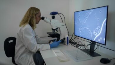 diaz-ayuso-anuncia-un-proyecto-para-crear-y-consolidar-startups-en-sectores-estrategicos-como-la-biotecnologia,-el-medioambiente-y-el-aeroespacial