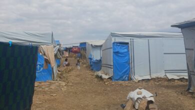elankidetza-apoya-un-centro-de-estudios-humanitarios-en-tigray