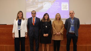 el-gobierno-vasco-advierte-que-se-necesitan-6.000-megavatios-mas-de-nueva-capacidad-en-la-red-electrica-vasca-para-acometer-las-inversiones-en-descarbonizacion