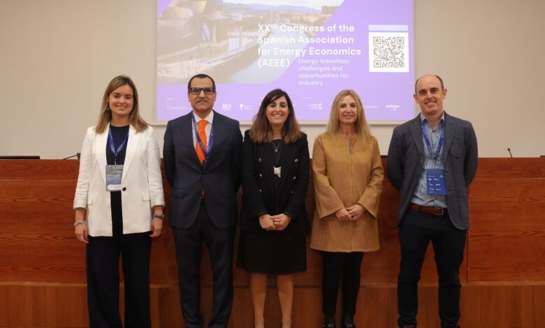 el-gobierno-vasco-advierte-que-se-necesitan-6.000-megavatios-mas-de-nueva-capacidad-en-la-red-electrica-vasca-para-acometer-las-inversiones-en-descarbonizacion