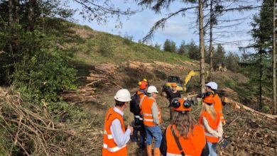 economia,-trabajo-y-empleo-pone-en-marcha-un-plan-de-choque-europeo-contra-la-siniestralidad-laboral-en-el-sector-forestal