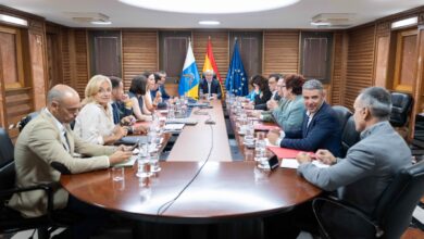 el-gobierno-aprueba-el-decreto-que-regula-las-itv-en-canarias-que-flexibiliza-la-contratacion-de-personal-tecnico