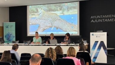 el-consejo-escolar-propone-el-10-de-octubre,1-de-abril-y-19-de-junio-lectivos-en-2025-2026
