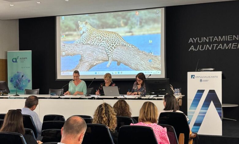 el-consejo-escolar-propone-el-10-de-octubre,1-de-abril-y-19-de-junio-lectivos-en-2025-2026