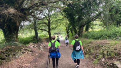 pacientes-tratadas-de-cancer-de-mama-y-profesionales-del-hospital-publico-de-getafe-hacen-el-camino-de-santiago