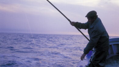 amaia-barredo:-“terminada-la-costera-de-la-anchoa,-de-los-8055000-kilogramos-que-podian-capturar-nuestros-arrantzales,-han-pescado-7200.000-kgs,-el-90%-de-su-cuota”