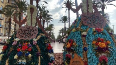 las-belleas-del-foc-florales-vuelven-a-la-avenida-de-la-estacion-y-explanada-en-hogueras