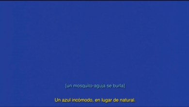 la-proyeccion-de-la-pelicula-blue-description-project-clausura-las-jornadas-en-torno-a-la-discapacidad-del-museo