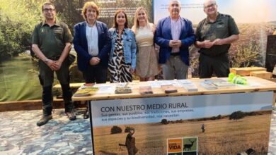 el-gobierno-de-castilla-la-mancha-ha-respaldado-13-ferias-comerciales-en-la-provincia-de-ciudad-real-con-ayudas-que-superan-los-125.000-euros
