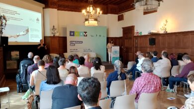 200-personas-han-participado-en-el-curso-de-verano-sobre-la-inteligencia-artificial-inclusiva