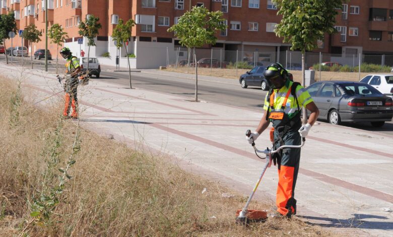 el-ayuntamiento-incrementa-en-un-30-%-los-medios-humanos-y-materiales-de-la-campana-de-desbroce-tras-las-historicas-lluvias-de-marzo