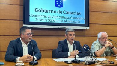 canarias-reconoce-quince-razas-autoctonas-como-patrimonio-genetico-por-su-valor-etnografico,-productivo-y-ambiental