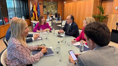 nieves-lady-barreto-informa-al-cgpj-de-la-situacion-de-la-ciudad-de-la-justicia-en-santa-cruz-de-tenerife