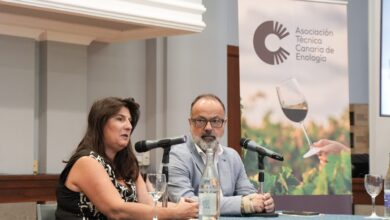 transicion-impulsa-la-adaptacion-de-la-enologia-canaria-frente-al-cambio-climatico-en-una-jornada-formativa